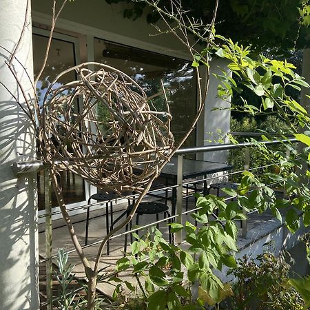 The Nest ~ Your Best Rest Sever do Vouga Buitenkant foto