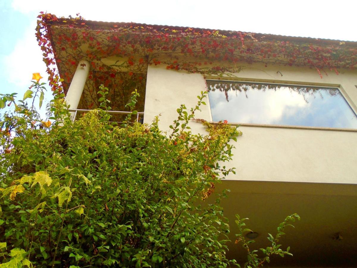 The Nest ~ Your Best Rest Sever do Vouga Buitenkant foto