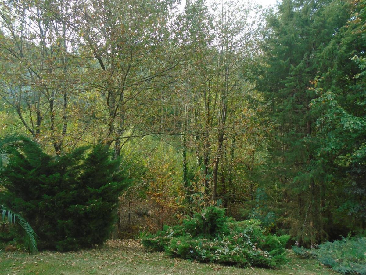 The Nest ~ Your Best Rest Sever do Vouga Buitenkant foto