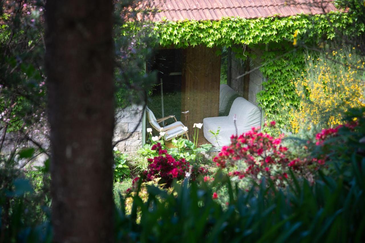 The Nest ~ Your Best Rest Sever do Vouga Buitenkant foto
