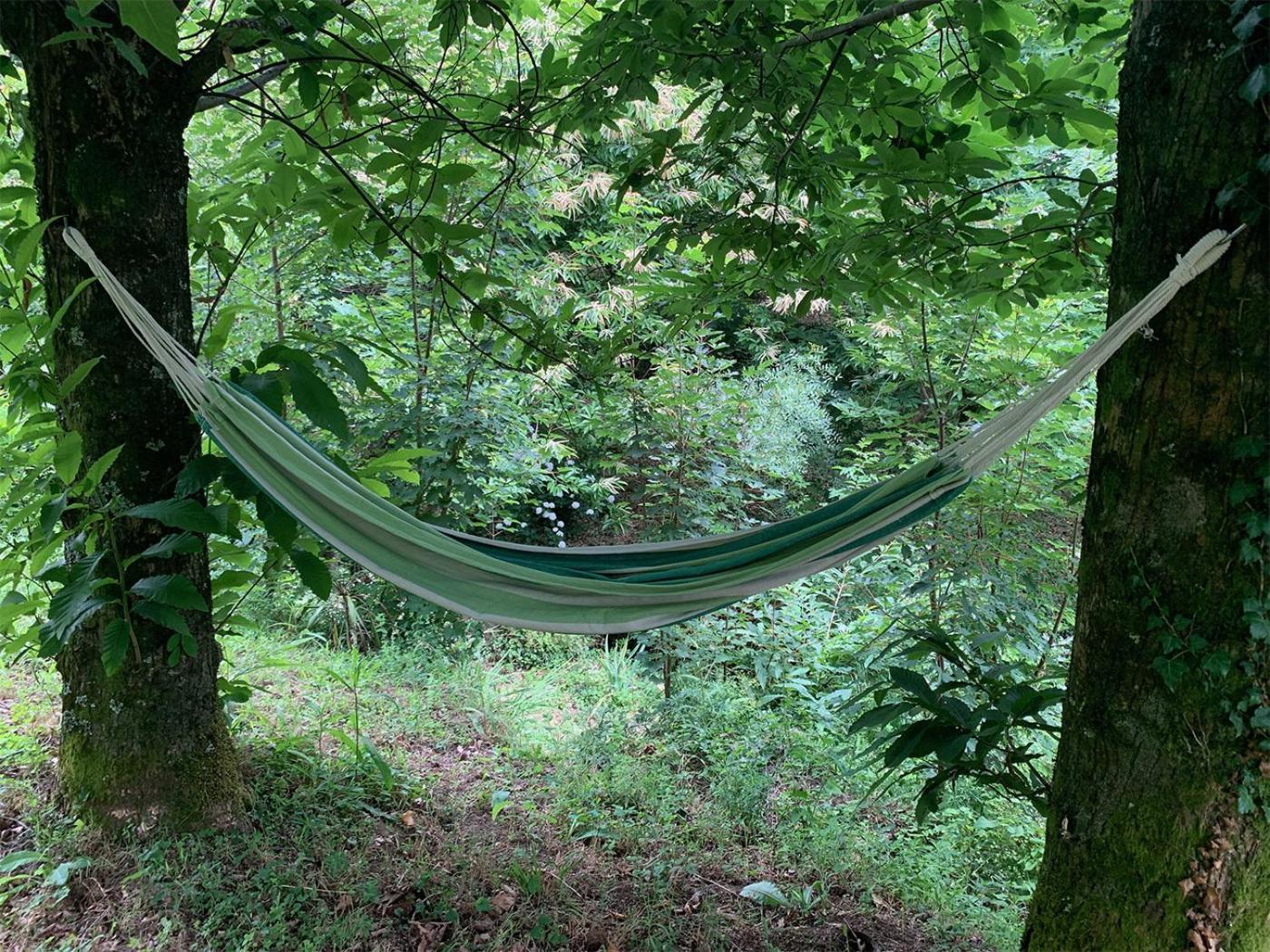 The Nest ~ Your Best Rest Sever do Vouga Buitenkant foto
